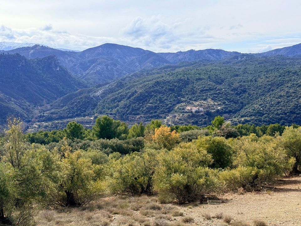 Erhvervsejendom i Diezma, Granada - foto 1